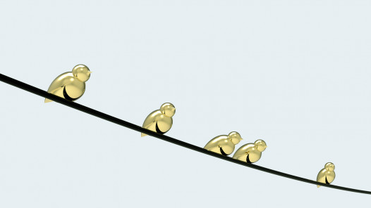 Havainnekuvassa kultaiset Kultarinta-linnut istuvat sähköjohdolla.