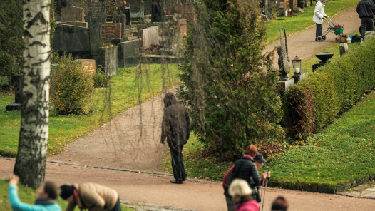 Helsingin seurakuntayhtymän hautaustoimi.