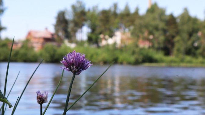 Teimme Tampereen Hiedanrantaan elinkaarikonsultointia hyödyntäen BREEAM Communities -menetelmää