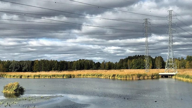 Finnoon ranta mereltä kohti manteretta.