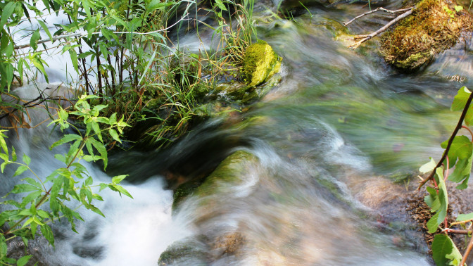 Kuva metsässä virtaavasta purosta