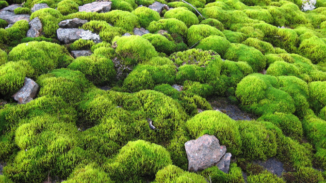 Geologisilla muodostumilla on myös esteettisiä, ekologisia ja tietenkin geologisia arvoja.  