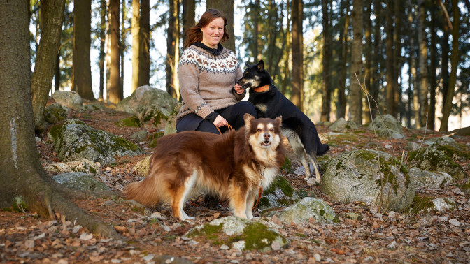 Aino Karilas istuu metsässä kivellä ja kaksi koiraa seisoo hänen jaloissaan.