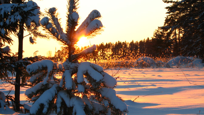 Talvinen maisema auringonlaskussa.