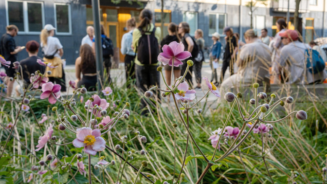 Ihmisiä ja kukkia kaupunkiympäristössä.