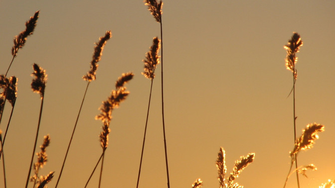 ekologisen vesistökunnostuksen ohjaus