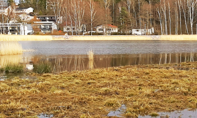 Vartiokylänlahden kaupunkiekologinen suunnitelma