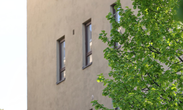 Kerrostalo ja lehti puussa Heli Nukin ottamassa kuvassa