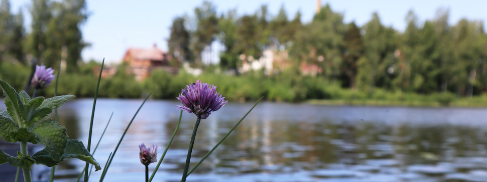 Teimme Tampereen Hiedanrantaan elinkaarikonsultointia hyödyntäen BREEAM Communities -menetelmää