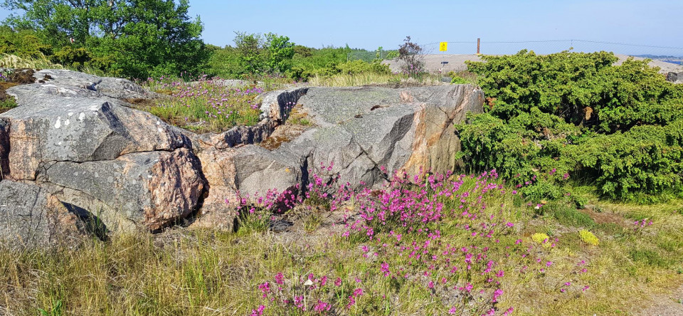 Saaristomeren monipuolista luontontoa.