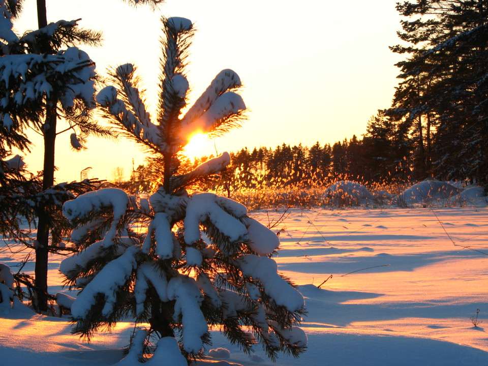 Talvinen maisema auringonlaskussa.