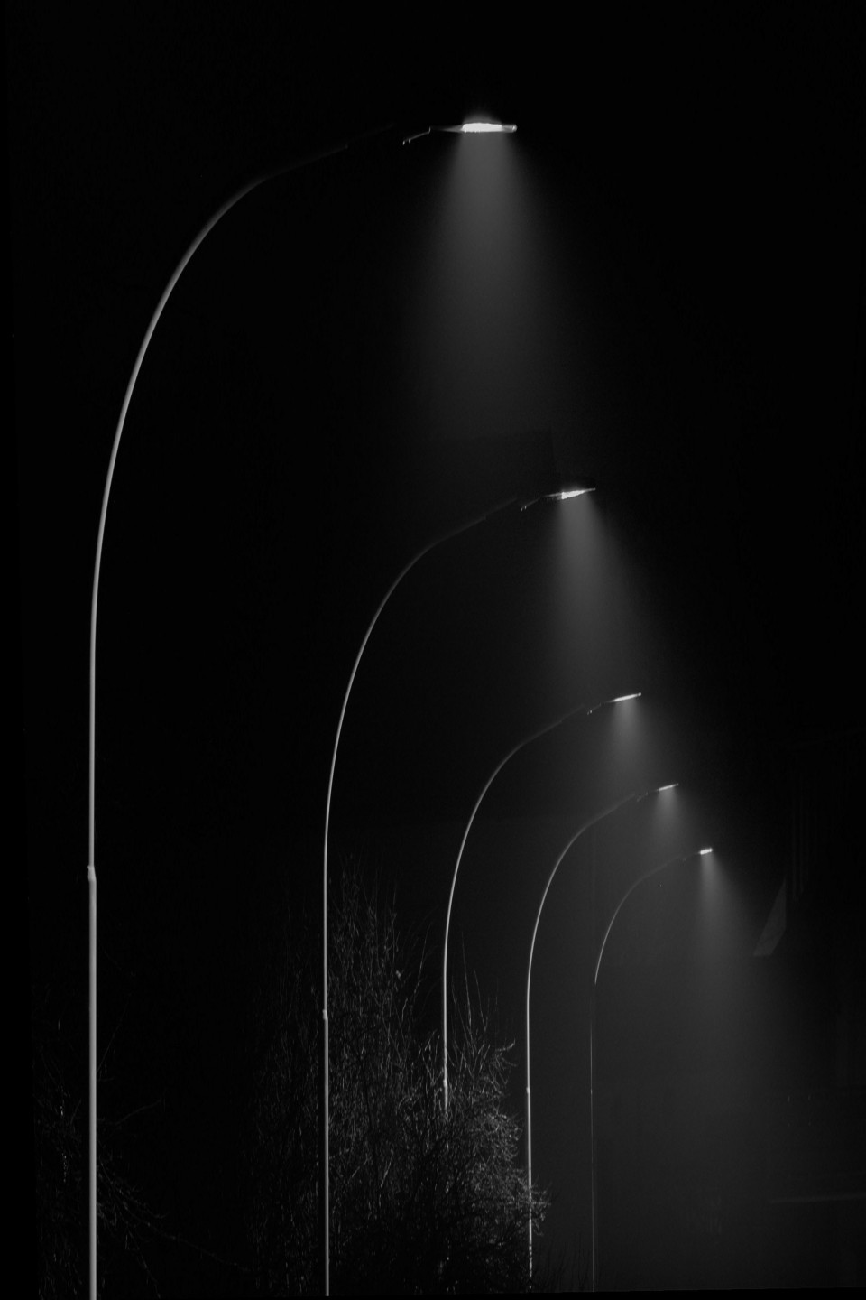 Street lights in darkness.