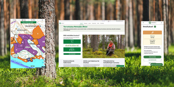 hero grandone metsään.fi
