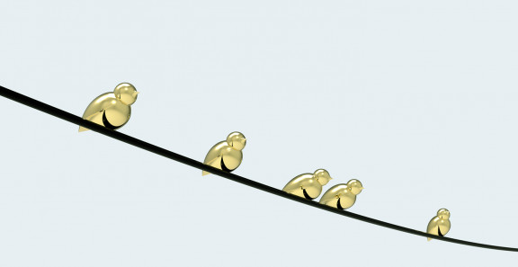 Havainnekuvassa kultaiset Kultarinta-linnut istuvat sähköjohdolla.