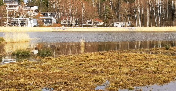 Vartiokylänlahden kaupunkiekologinen suunnitelma