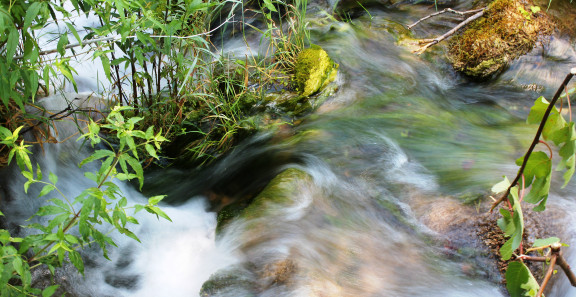 Kuva metsässä virtaavasta purosta