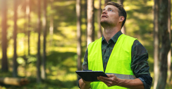 Mies huomioliivissä metsässä tablettitietokone käsissään