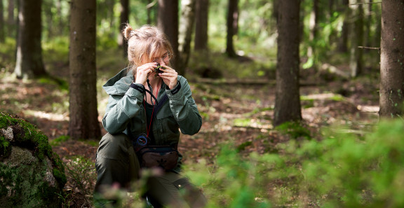 Biologi Heli Vainio tutkii kasvia metsässä.