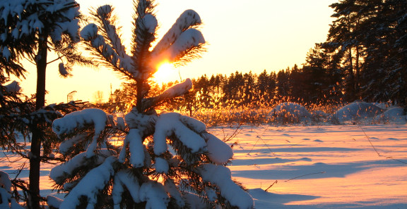 Talvinen maisema auringonlaskussa.