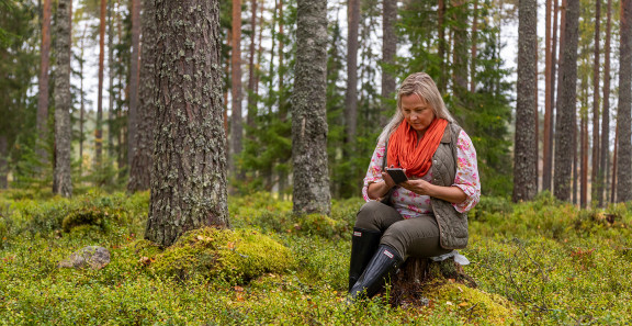 metsään.fi copyright metsäkeskus