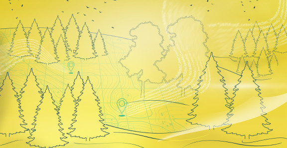 Foresta - forest system for experts