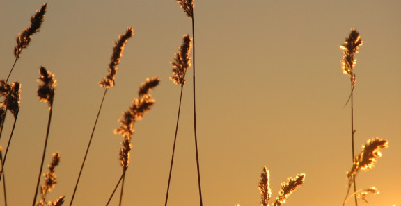 ekologisen vesistökunnostuksen ohjaus