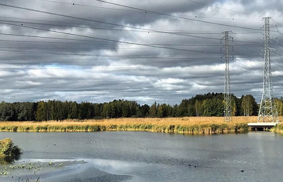 Finnoon ranta mereltä kohti manteretta.