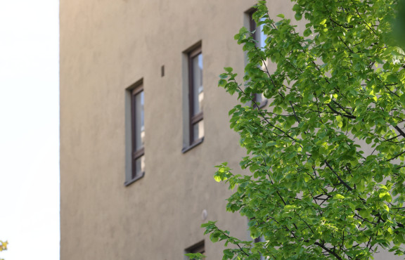 Kerrostalo ja lehti puussa Heli Nukin ottamassa kuvassa