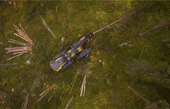 Metsätyökone_metsässä