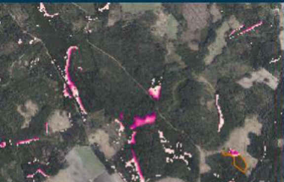 Satelliittikuva metsästä.