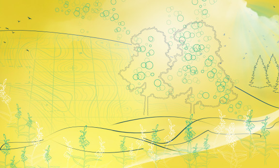 brand graphics yellow