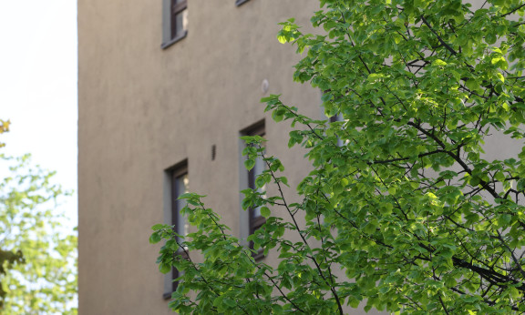 Kerrostalo ja lehti puussa Heli Nukin ottamassa kuvassa.
