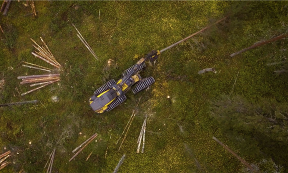 Metsätyökone_metsässä