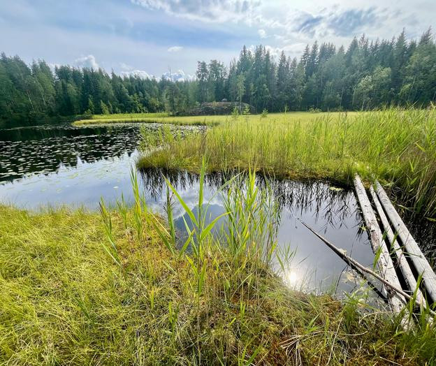 vesistoselvitykset sitowise